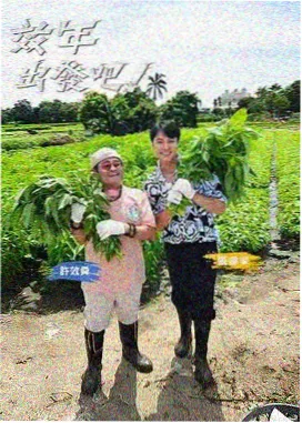 789影视 奔跑吧12